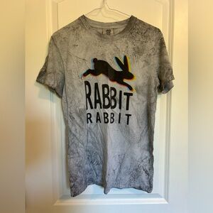 Asheville NC Comfort Colors Gray Rabbit Graphic Tee